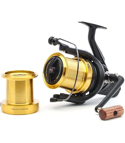 Amazon.com : DAIWA Tournament Basia 45 SCW QD Fishing Reel, Surf